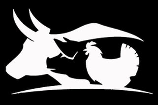 Pulled BBQ logo