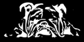 The Salty Dog logo
